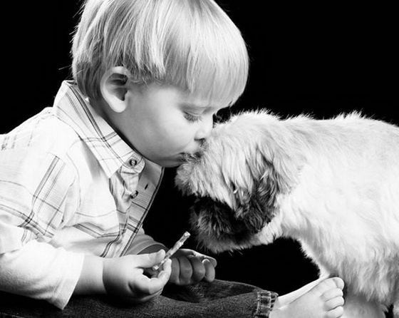 21 Emotionally Touching Photos of Relationship between Dogs and Humans