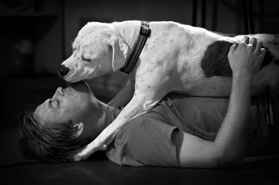 21 Emotionally Touching Photos of Relationship between Dogs and Humans