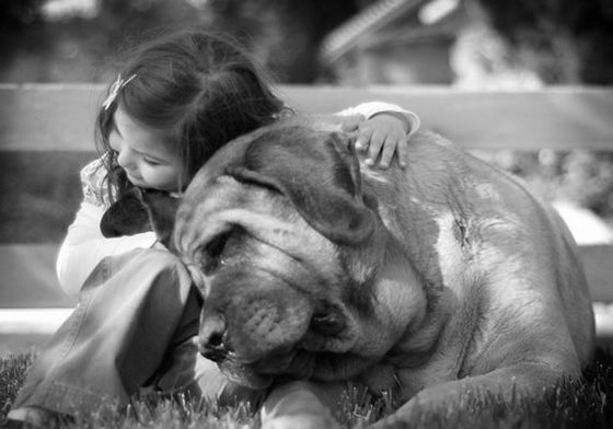 21 Emotionally Touching Photos of Relationship between Dogs and Humans