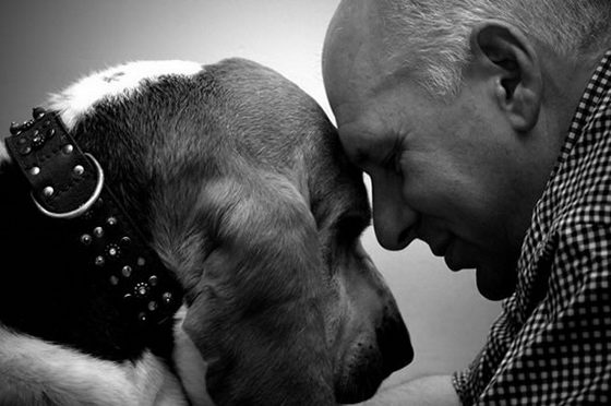 21 Emotionally Touching Photos of Relationship between Dogs and Humans