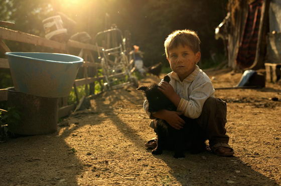 21 Emotionally Touching Photos of Relationship between Dogs and Humans