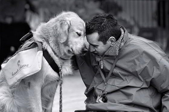 21 Emotionally Touching Photos of Relationship between Dogs and Humans