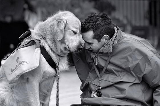 21 Touching Photos Of Relationship Between Dogs And Humans Design Swan