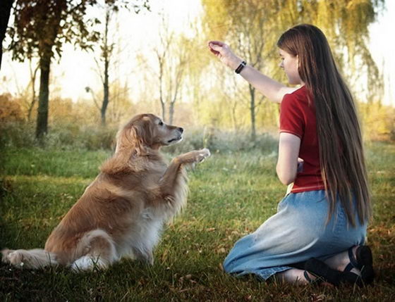 21 Emotionally Touching Photos of Relationship between Dogs and Humans