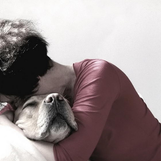 21 Emotionally Touching Photos of Relationship between Dogs and Humans