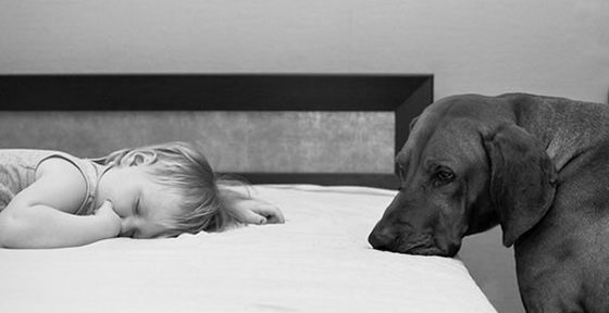 21 Emotionally Touching Photos of Relationship between Dogs and Humans