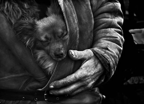 21 Emotionally Touching Photos of Relationship between Dogs and Humans