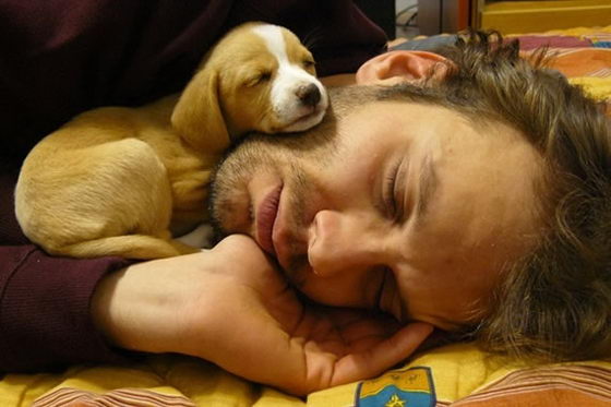 21 Emotionally Touching Photos of Relationship between Dogs and Humans