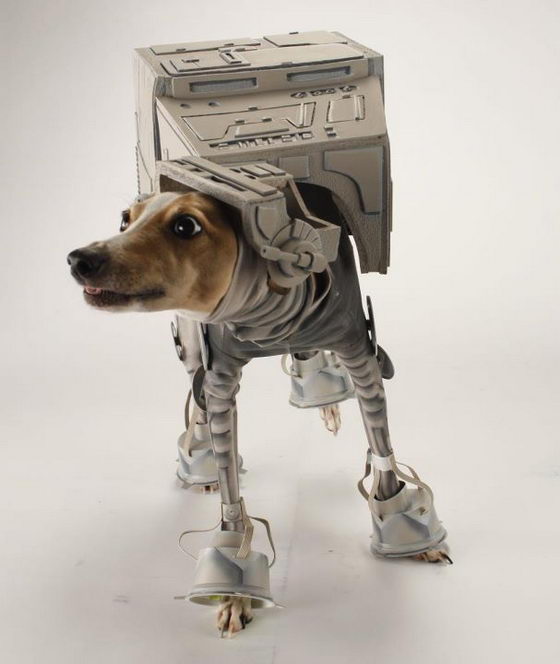 Unusual AT-AT Dog Costume by Katie Mello