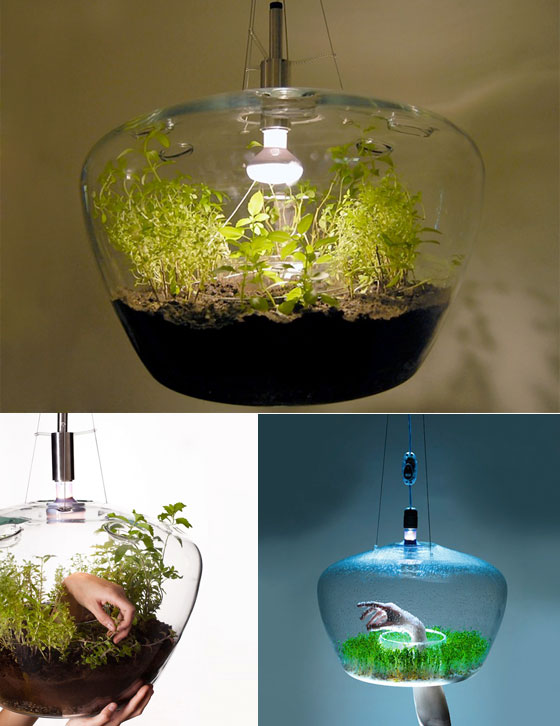 Bring Nature Indoor: 11 Innovative Nature Inspired Designs