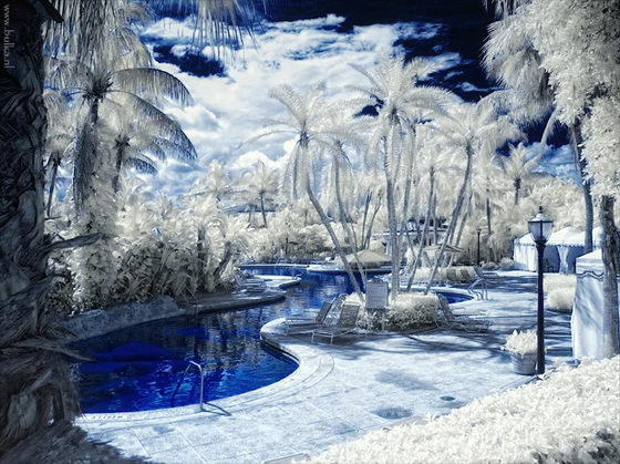 Winter Wonderland: Beautiful Infrared Photography by Maria Netsounski