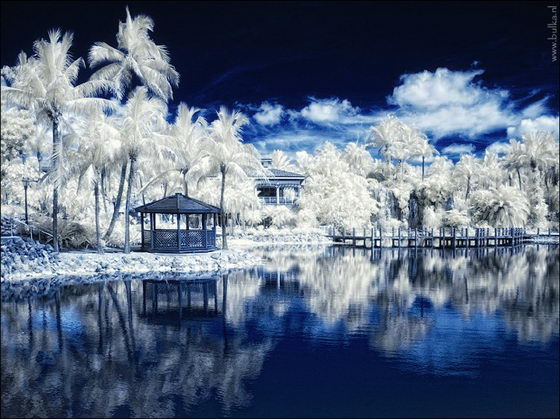 Winter Wonderland: Beautiful Infrared Photography by Maria Netsounski