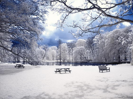 Winter Wonderland: Beautiful Infrared Photography by Maria Netsounski