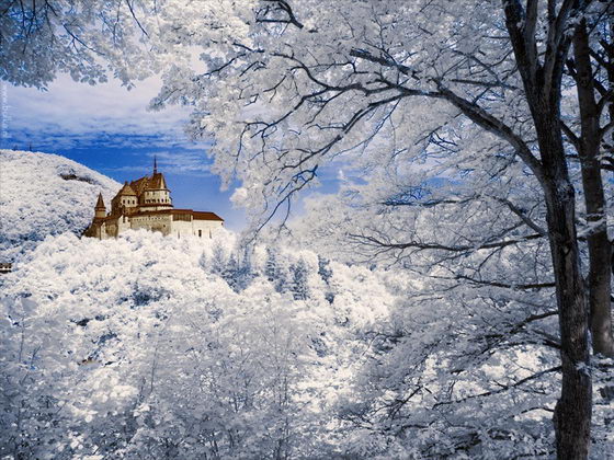 Winter Wonderland: Beautiful Infrared Photography by Maria Netsounski