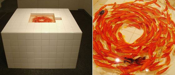 Goldfish Salvation: Stunning 3D Fish Paintings by Riusuke Fukahori