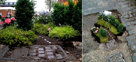 Miniature Pothole Garden on the Road