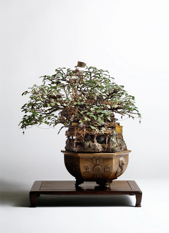 Adventures of the Eyes: Amazing Bonsai-type Sculptures by Takanori Aiba