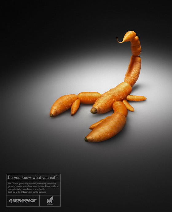 Do You Know What You Eat? Creative Ads Against Genetically Modified Plants