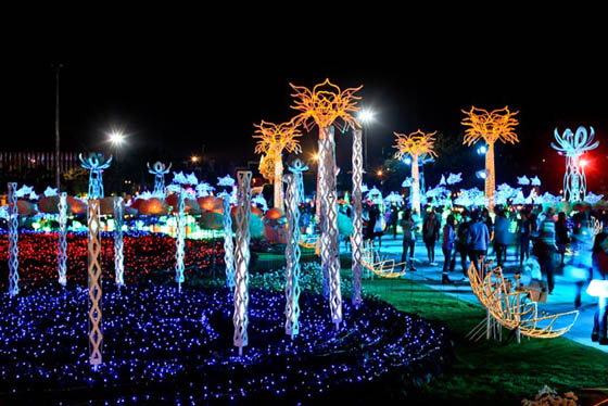Sea of Lights: The Imagination Light Garden in Thailand