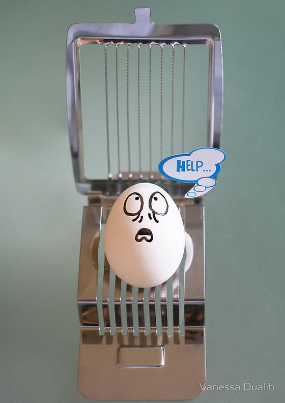 Eggventures: Funny Eggs Photography by Vanessa Dualib