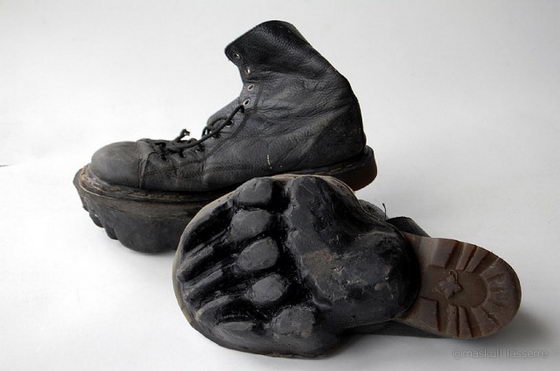 Animal Tracks: Interesting Animal Footprint Shoes by Maskull Lasserre
