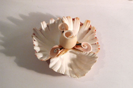 9 Beautiful Shell Bowls for Home Decoration