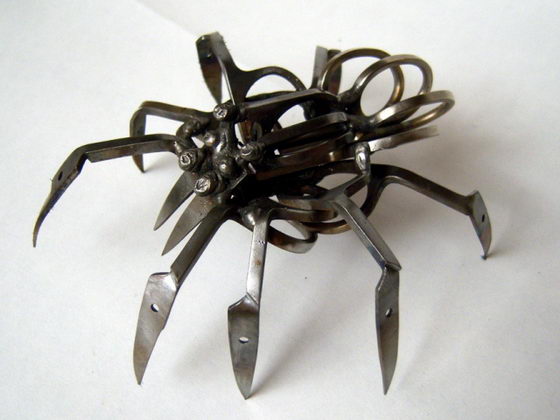 Unusual Scissor Spiders by Christopher Locke