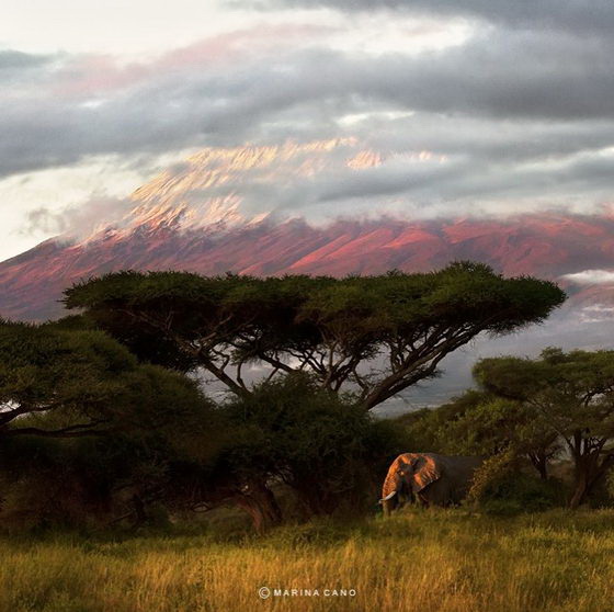 Beauty of Nature: Wildlife Photography Photo by Marina Cano