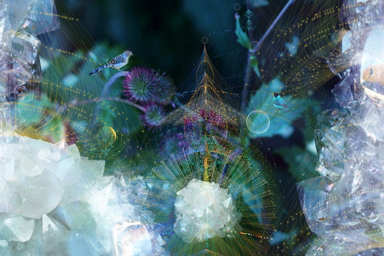 BIOSPHERE: Digital Art Inspired by the Beauty of Chaos and Cosmic Space