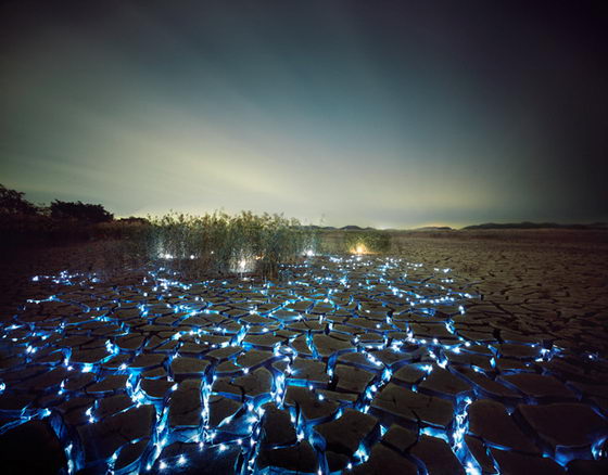Starry Night: Incredibly Beautiful Light Installations by Lee Eunyeol