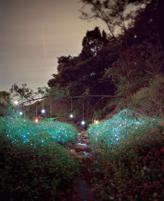 Starry Night: Incredibly Beautiful Light Installations by Lee Eunyeol