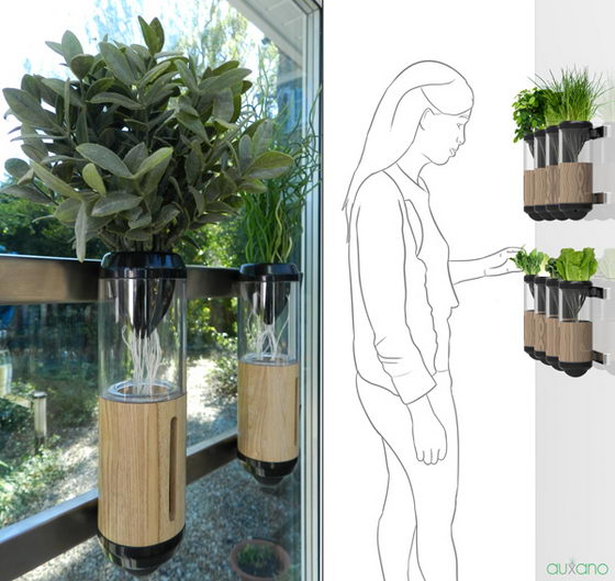 Auxano Hydroponic Vegetable and Herb Grower: Your Indoor Gardening Solution