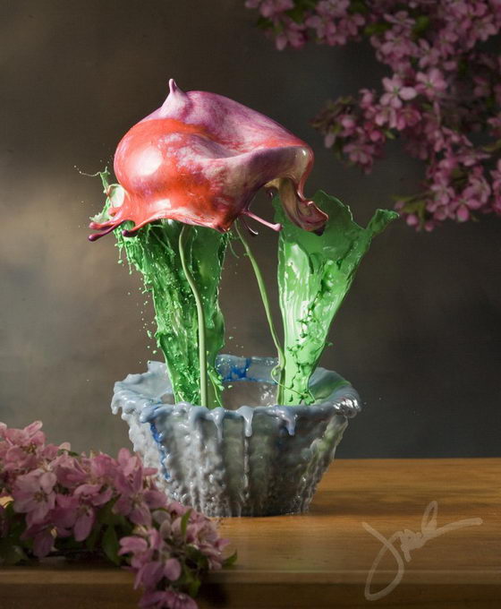 Stunning Flowers Created by Splash of Colored Water