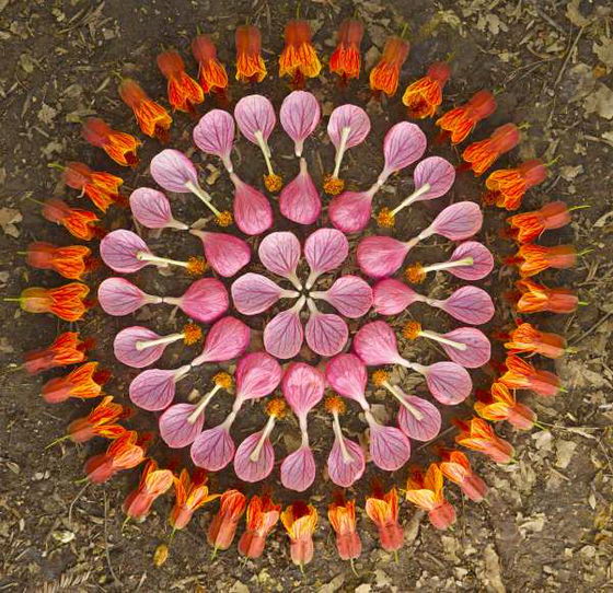 Intricate but Elegant Flower Danmala by Kathy Klein