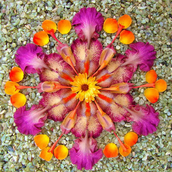 Intricate but Elegant Flower Danmala by Kathy Klein