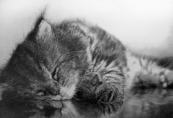 Stunning Photo-realistic Pencil Drawings by Paul Lung