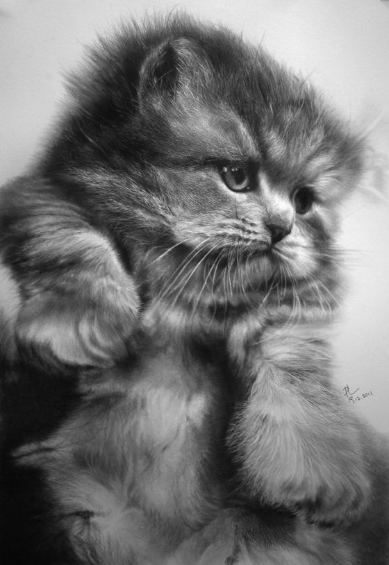 Stunning Photo-realistic Pencil Drawings by Paul Lung 