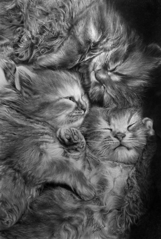 Realistic Black And White Drawings - photo #27