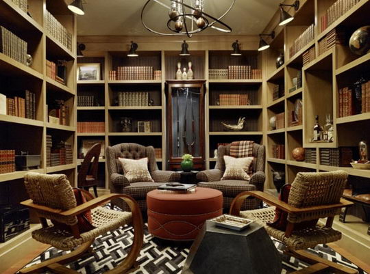 cozy home libraries