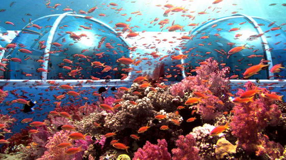 Spectacular Poseidon Undersea Resort in Fiji