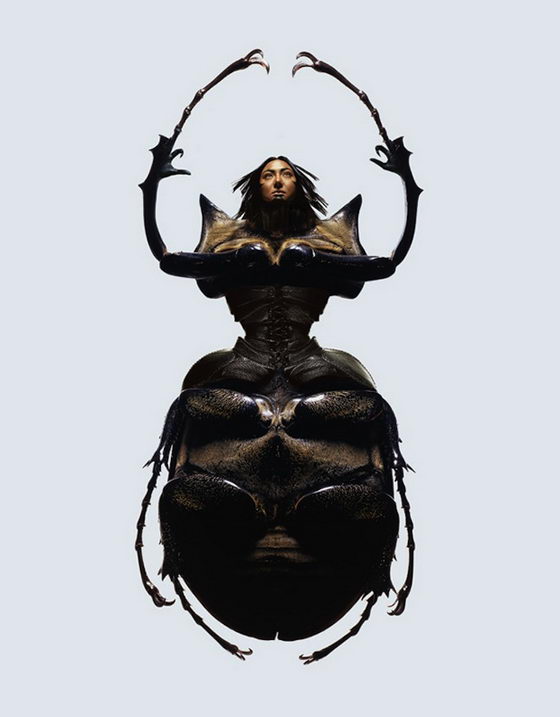 Beauties in Bugs: Insect Women by Laurent Seroussi