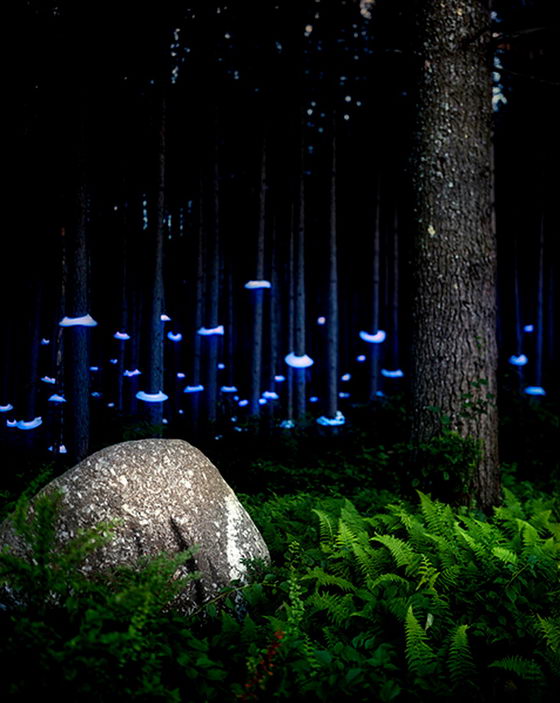 Surrealistic Landscape Light Installation by Barry Underwood