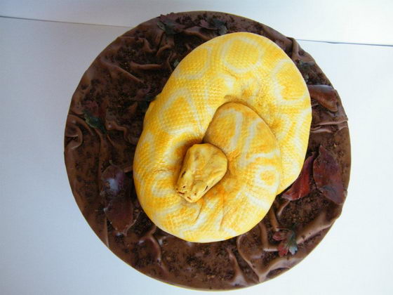 Snake? Cake? A snake CAKE look like an Albino Burmese Python