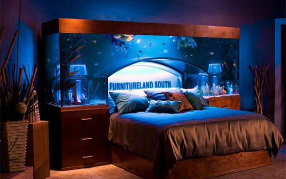 11 Creative Ways to Raise Fish at Your Home