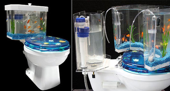 11 Creative Ways to Raise Fish at Your Home