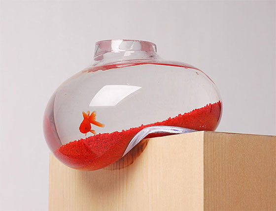 11 Creative Ways to Raise Fish at Your Home