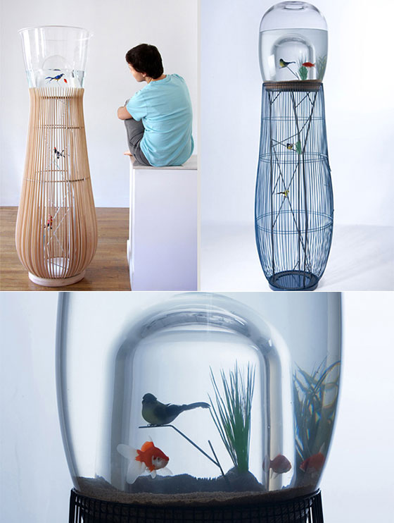 11 Creative Ways to Raise Fish at Your Home