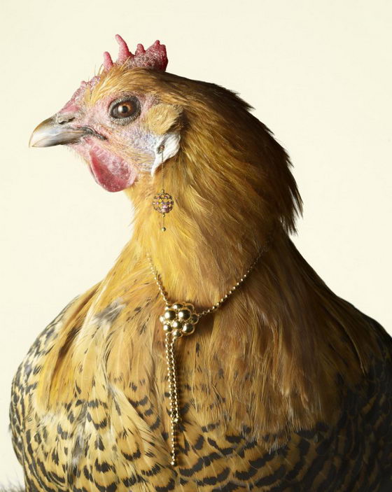 Luxury Chicks: Unusual Fashion Photograph by Peter Lippmann