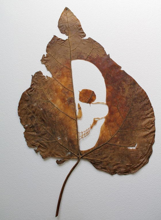 Jaw Dropping Intricate Cutaway Leaf Art by Lorenzo Durán