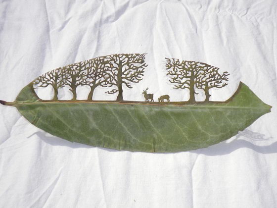 Jaw Dropping Intricate Cutaway Leaf Art by Lorenzo Durán